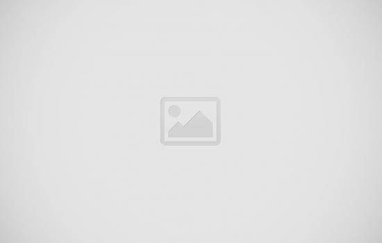 Premium Theme