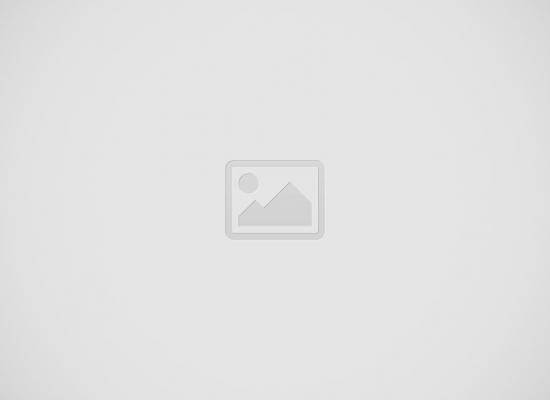 Octobercms Theme