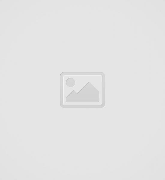 Octobercms Theme