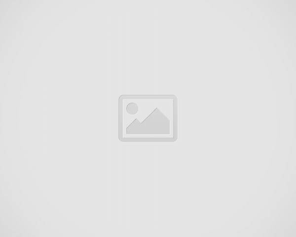 Creator - Modular Octobercms Theme